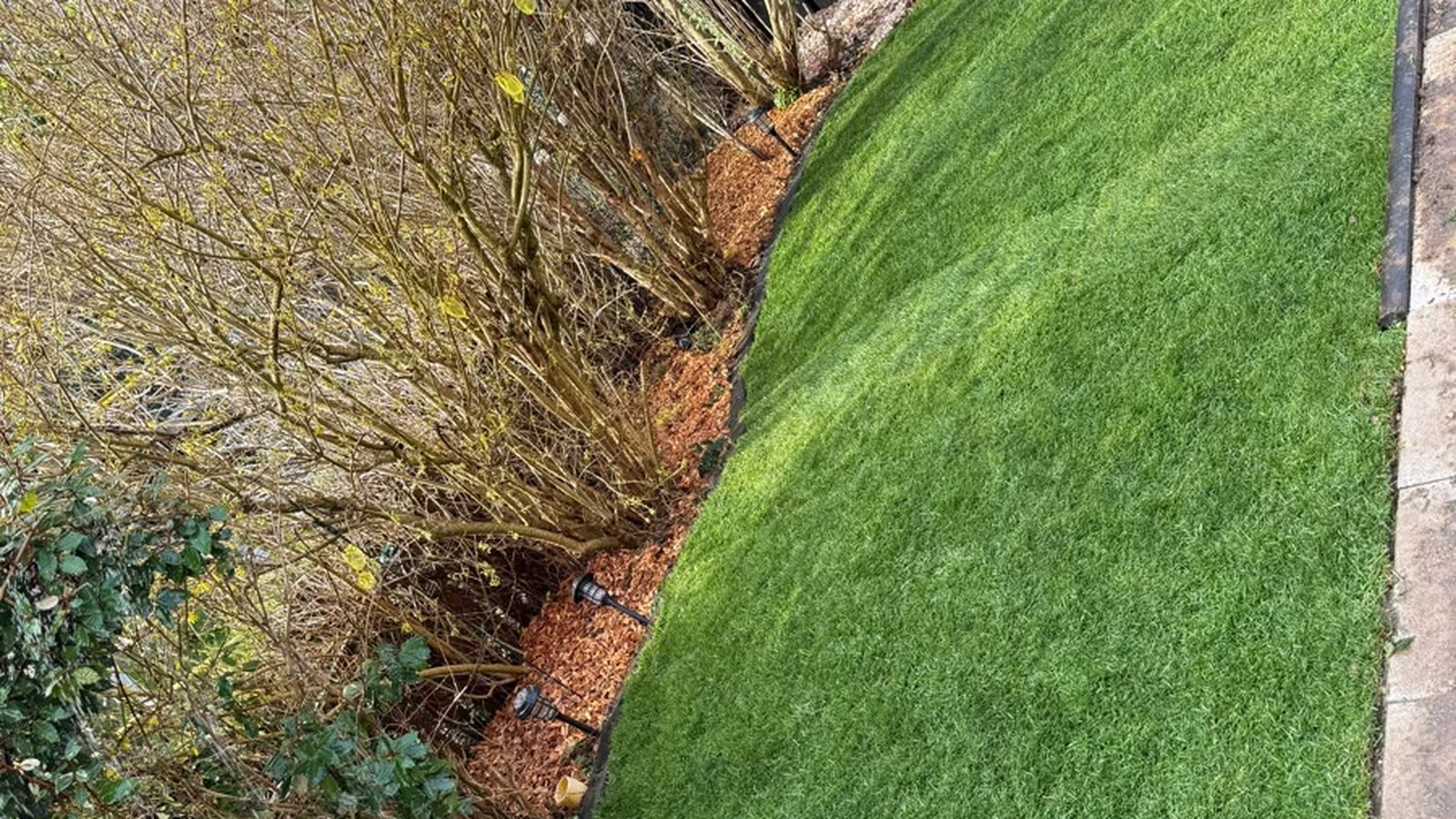 Sauber gepflegte Hecke entlang eines Privatgartens